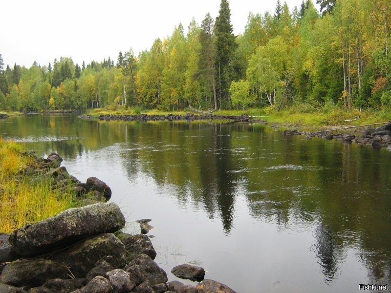 Не Заполярье, но все же)) Карелия, Середина сентября.