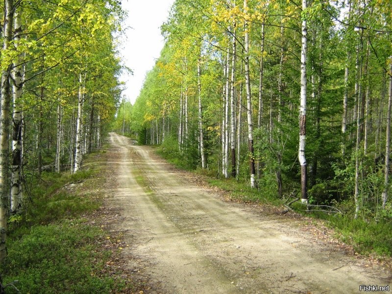 Не Заполярье, но все же)) Карелия, Середина сентября.