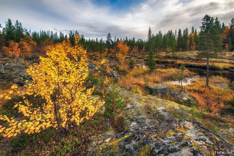 Вот ещё свеженьких Васиных фото.