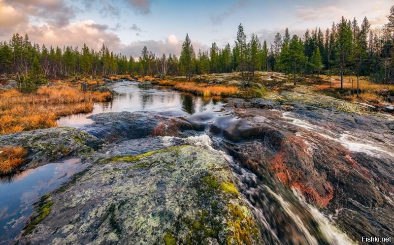 Не знаю,кто делал фото в посте.А вот эти фото делал Вася Пупкин. Есть такой мурманский фотограф.