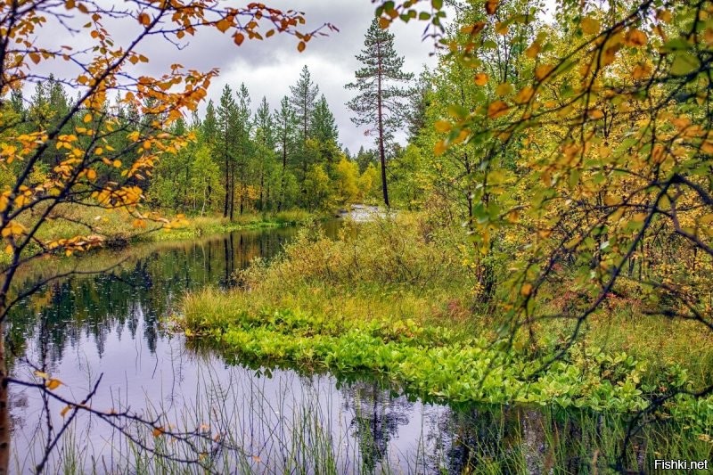 Вот ещё свеженьких Васиных фото.