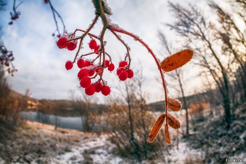 Вот ещё свеженьких Васиных фото.