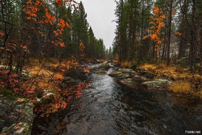 Не знаю,кто делал фото в посте.А вот эти фото делал Вася Пупкин. Есть такой мурманский фотограф.