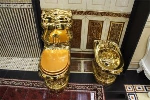 Унитаз януковича