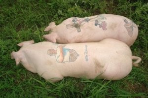 16 примеров того, как мастера дали старым татуировкам новую жизнь