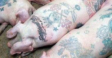 16 примеров того, как мастера дали старым татуировкам новую жизнь