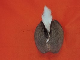 Ну добавит он трофеев.