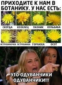 Ну это ещё не сложный тест. Вот сложное: