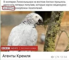 Смешные и познавательные картинки