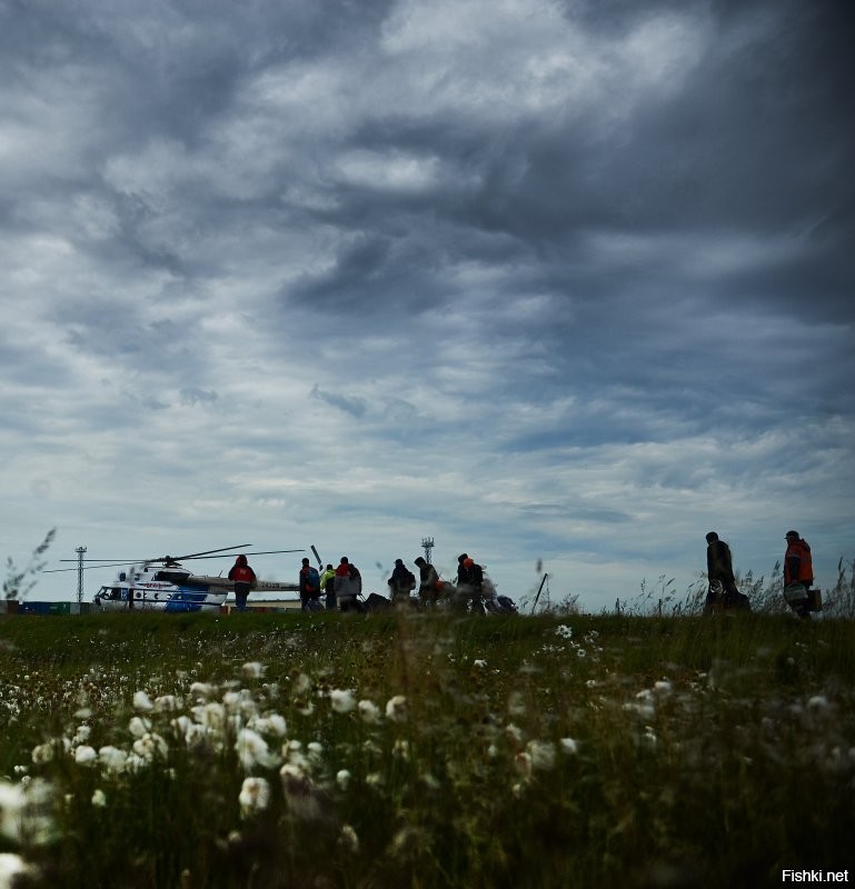 Мои фотки осени в заполярье, Ямал