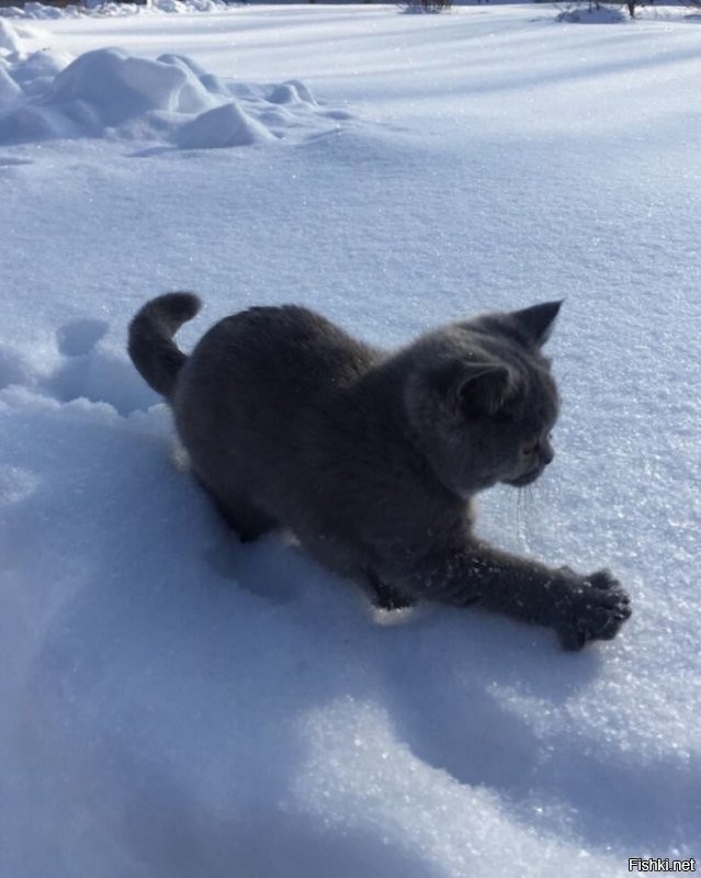 Ну вот уже и четверг, доброутро