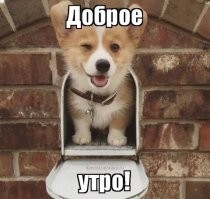 С добрым утром!