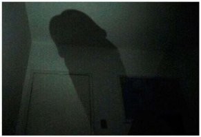 Хренотень это  тень хрена(растение).