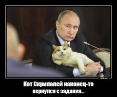 Нет это кот Скрипалей по любому