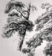 А как же Русские художники? Например Шишкин. Были недавно на выставке, большую часть экспозиции занимала именно графика. Это просто нечто!