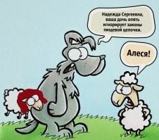 Праздник живота: голодному коту удалось хорошо перекусить в киоске с фастфудом