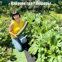 Огородные тёрки