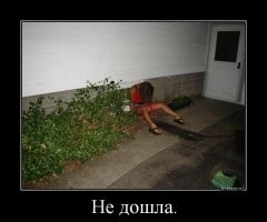 Юмор за 300: невероятные приключения алкоголиков