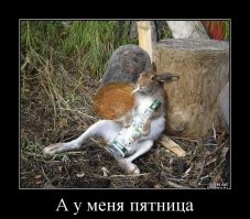 Алкопост на вечер этой пятницы