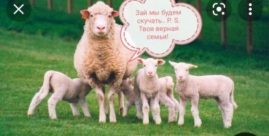 Бастрыкин поручил СК завести еще одно дело на избивших москвича приезжих