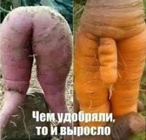 Огородные тёрки