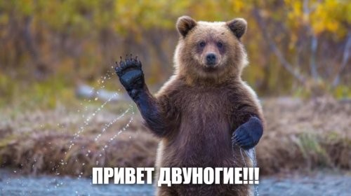 С добрым утром!