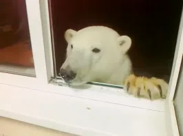 Британия и Россия. Здесь серьезные приятели в гости заходят