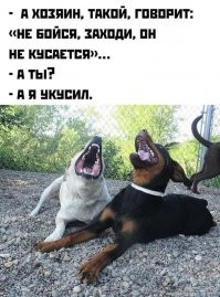 Пост позитивной милоты