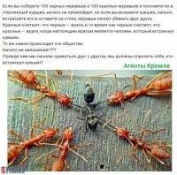 Когда на Западе поняли, что "майдан" в России не получается, Сисян варежки шьёт, то тут же стали, как грибы после дождя происходить ШИРОКО освещаемые в СМИ якобы межэтнические конфликты.
И на Фишках есть несколько авторов, которые регулярно из сотен ДТП выбирают те, где участвуют разные национальности и ОБЯЗАТЕЛЬНО толкают националистические лозунги в  таких заметках.
Заметили?

Не удивлюсь, если этим недоумкам, уже сидевшим, кстати, просто предложили денег заработать за якобы видос для какого-нибудь блогера коллеги Сисяна, работающие опосредованно на Западные спецслужбы. А теперь эту тему раздувают по всей стране, пытаясь столкнуть разные народы России.