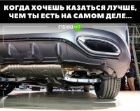 Я вижу, что в ответе на пост выложен милотек, но изначальное фото было другое. Вот это  Форму сравните