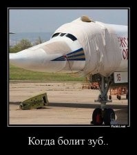 Смешные и познавательные картинки