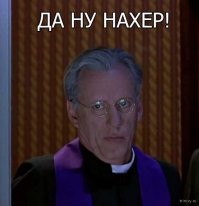 40 уморительных фото котов, которые смотрят на нас свысока