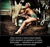 Анекдоты в картинках 