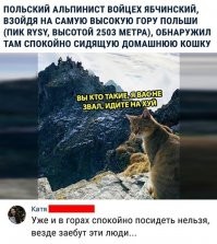 Это тот самый кот Скрипалей
