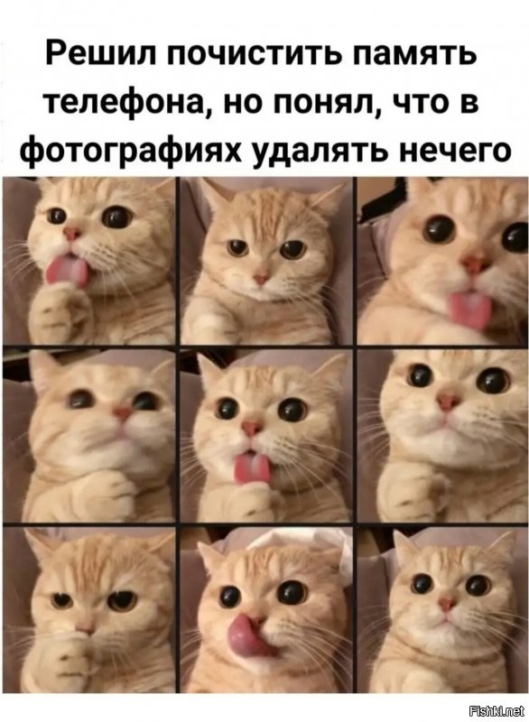 Солянка от 09.10.2021