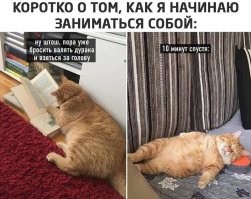 Весёлые картинки. Выпуск 31