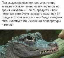 Помогу автору. ..и меняет х.уй на пиз.ду