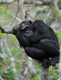 Всё правильно - в естественной среде обитания!