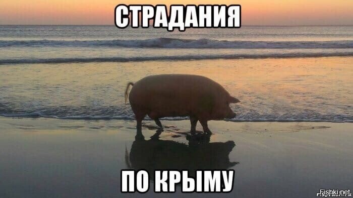 Киевские клоуны придумали, как вернуть Крым за пять минут