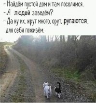 Мимилашный позитив на ночь