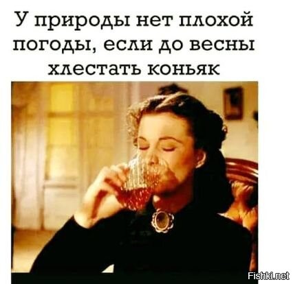 Солянка от 10.10.2021