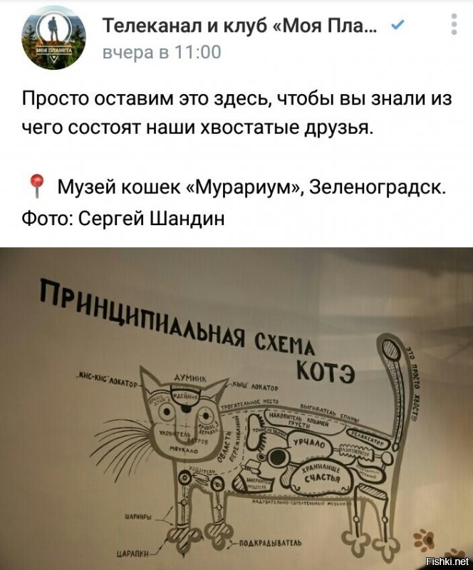 И для нас есть полезная лекция