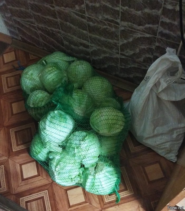Это так