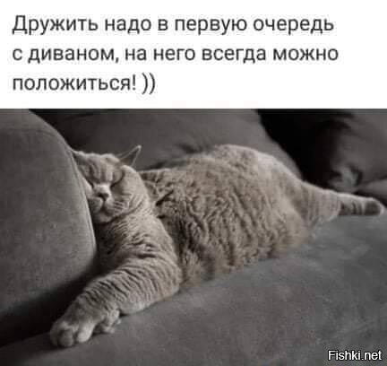 Солянка от 10.10.2021