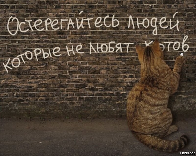 Солянка от 10.10.2021
