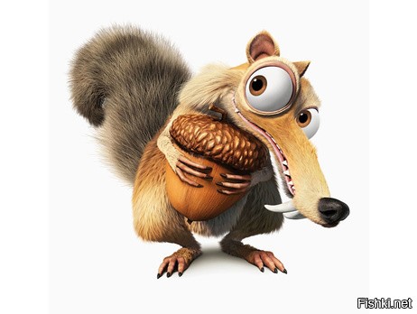 А ты наверное белку видел?