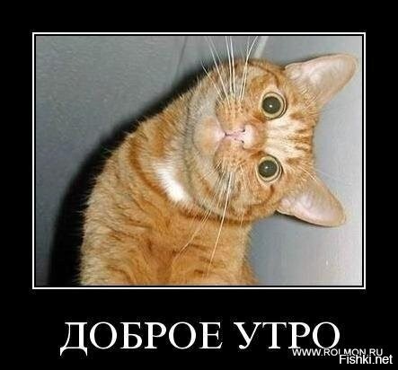 С добрым утром!