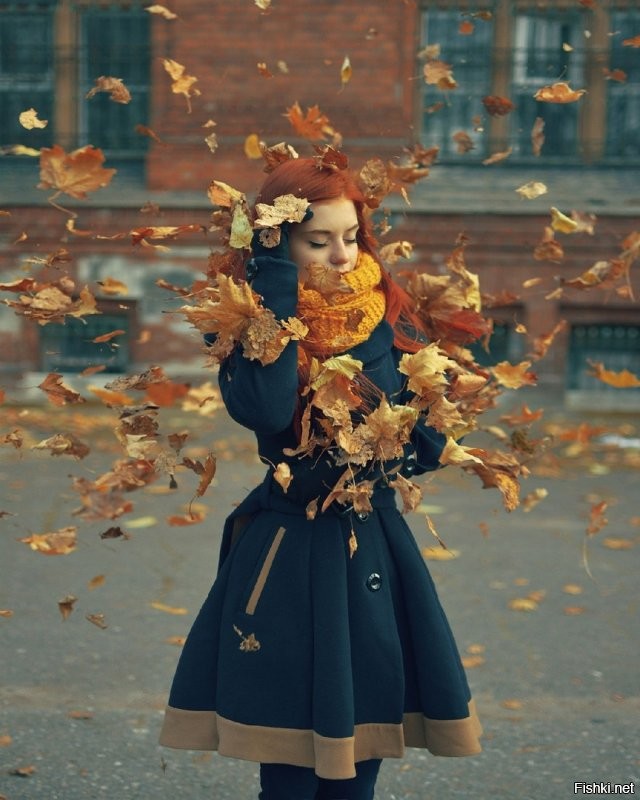 немного утреннего леса вам