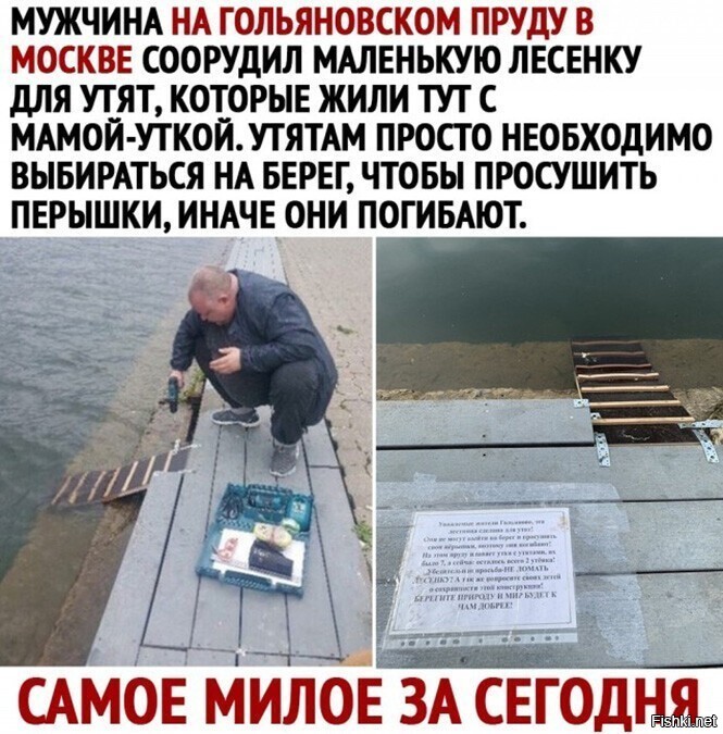 во свежак!!! утята были в мае, а сейчас октябрь!!!