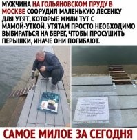 во свежак!!! утята были в мае, а сейчас октябрь!!!